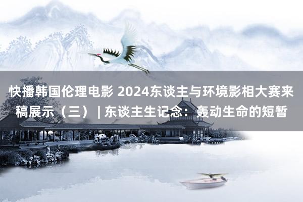 快播韩国伦理电影 2024东谈主与环境影相大赛来稿展示（三） | 东谈主生记念：轰动生命的短暂