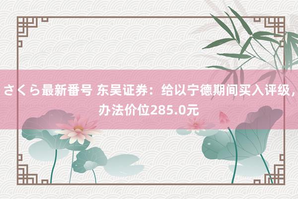 さくら最新番号 东吴证券：给以宁德期间买入评级，办法价位285.0元