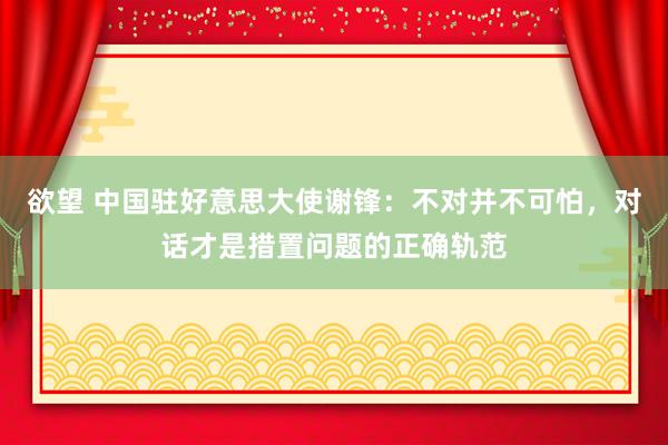 欲望 中国驻好意思大使谢锋：不对并不可怕，对话才是措置问题的正确轨范