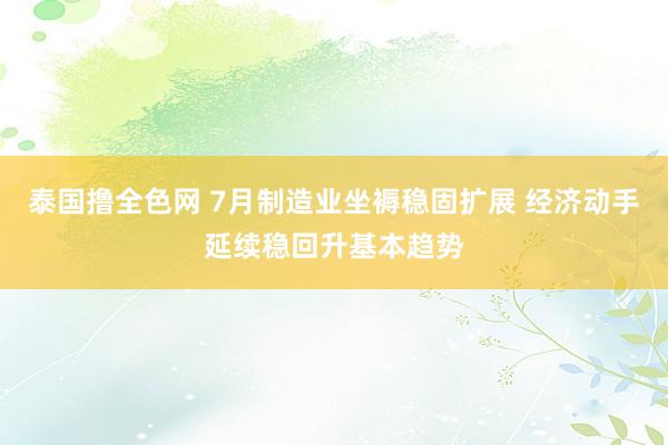 泰国撸全色网 7月制造业坐褥稳固扩展 经济动手延续稳回升基本趋势