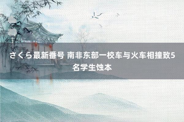 さくら最新番号 南非东部一校车与火车相撞致5名学生蚀本