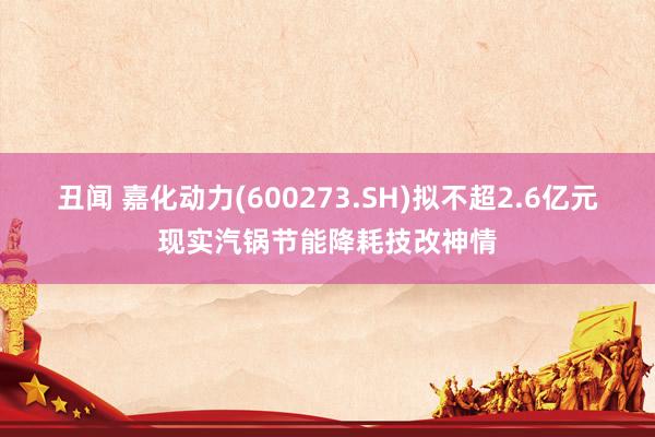 丑闻 嘉化动力(600273.SH)拟不超2.6亿元现实汽锅节能降耗技改神情