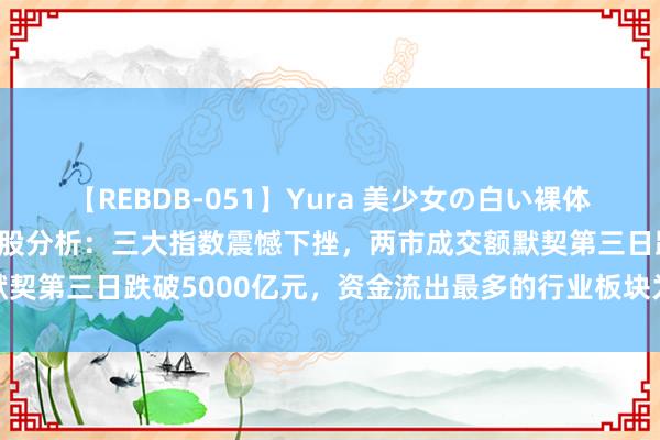 【REBDB-051】Yura 美少女の白い裸体 さくらゆら 8月14日A股分析：三大指数震憾下挫，两市成交额默契第三日跌破5000亿元，资金流出最多的行业板块为化学制药、证券