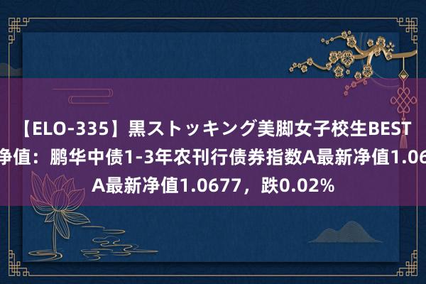 【ELO-335】黒ストッキング美脚女子校生BEST 8月16日基金净值：鹏华中债1-3年农刊行债券指数A最新净值1.0677，跌0.02%