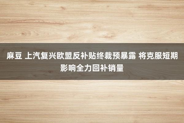 麻豆 上汽复兴欧盟反补贴终裁预暴露 将克服短期影响全力回补销量