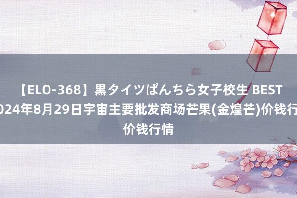 【ELO-368】黒タイツぱんちら女子校生 BEST 2024年8月29日宇宙主要批发商场芒果(金煌芒)价钱行情