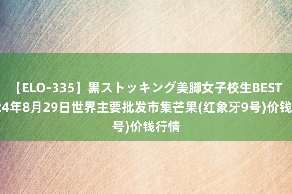 【ELO-335】黒ストッキング美脚女子校生BEST 2024年8月29日世界主要批发市集芒果(红象牙9号)价钱行情