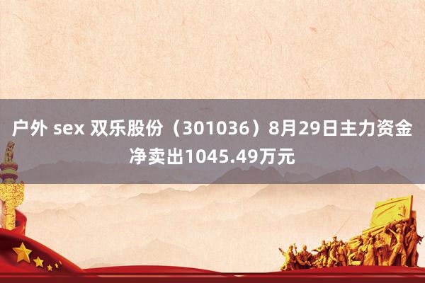 户外 sex 双乐股份（301036）8月29日主力资金净卖出1045.49万元