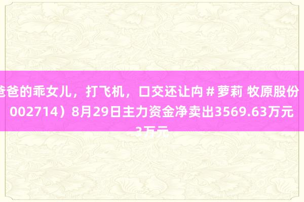 爸爸的乖女儿，打飞机，口交还让禸＃萝莉 牧原股份（002714）8月29日主力资金净卖出3569.63万元