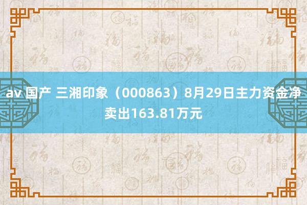 av 国产 三湘印象（000863）8月29日主力资金净卖出163.81万元