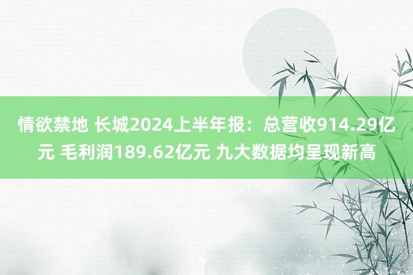 情欲禁地 长城2024上半年报：总营收914.29亿元 毛利润189.62亿元 九大数据均呈现新高