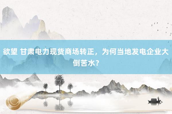 欲望 甘肃电力现货商场转正，为何当地发电企业大倒苦水？