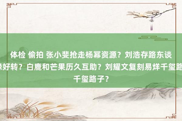 体检 偷拍 张小斐抢走杨幂资源？刘浩存路东谈主缘好转？白鹿和芒果历久互助？刘耀文复刻易烊千玺路子？