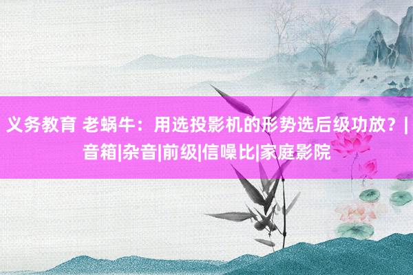 义务教育 老蜗牛：用选投影机的形势选后级功放？|音箱|杂音|前级|信噪比|家庭影院