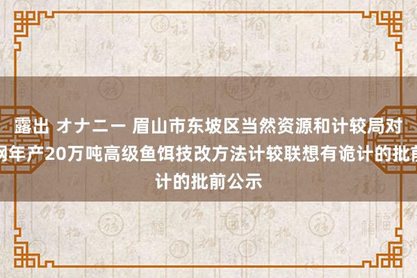 露出 オナニー 眉山市东坡区当然资源和计较局对于天网年产20万吨高级鱼饵技改方法计较联想有诡计的批前公示