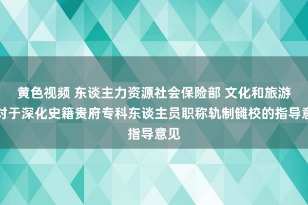 黄色视频 东谈主力资源社会保险部 文化和旅游部对于深化史籍贵府专科东谈主员职称轨制雠校的指导意见