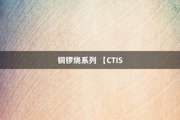 铜锣烧系列 【CTIS