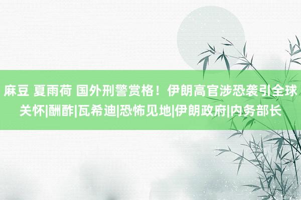 麻豆 夏雨荷 国外刑警赏格！伊朗高官涉恐袭引全球关怀|酬酢|瓦希迪|恐怖见地|伊朗政府|内务部长