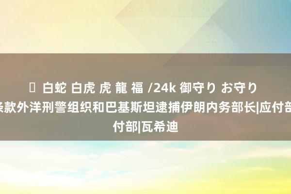 ✨白蛇 白虎 虎 龍 福 /24k 御守り お守り 阿根廷条款外洋刑警组织和巴基斯坦逮捕伊朗内务部长|应付部|瓦希迪