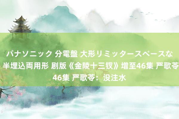 パナソニック 分電盤 大形リミッタースペースなし 露出・半埋込両用形 剧版《金陵十三钗》增至46集 严歌苓：没注水